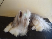 /album/galeria-de-fotos1/dsc00843-jpg/