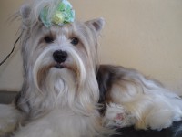 /album/galeria-de-fotos1/dsc00845-jpg/